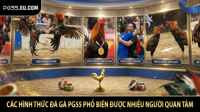 Các hình thức đá gà PG55 phổ biến được nhiều người quan tâm