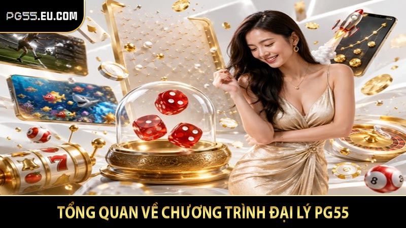 Tổng quan về chương trình đại lý PG55