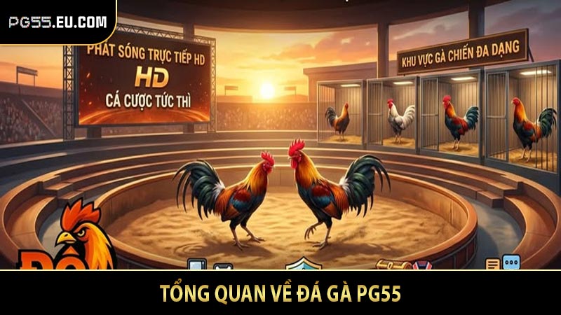 Tổng quan về đá gà PG55