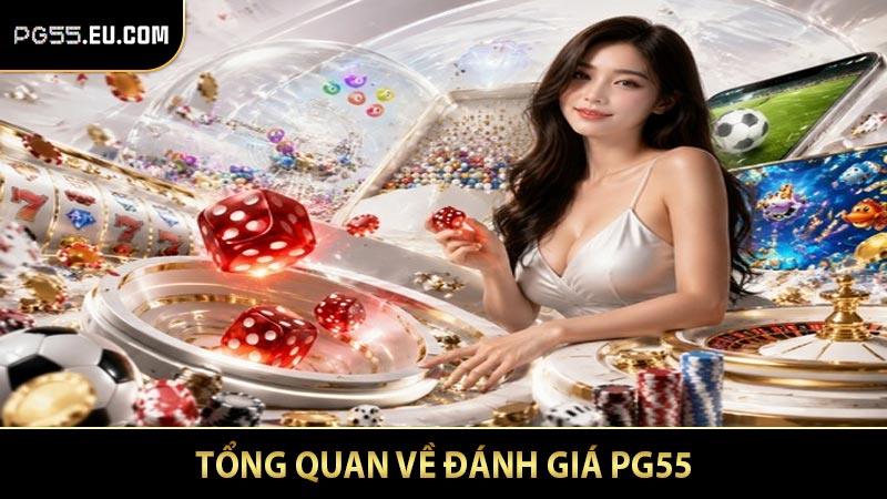Tổng quan về đánh giá PG55